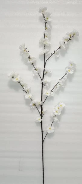 Cherry Blossom